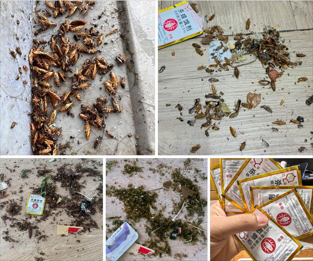 Cockroach Killing Bait